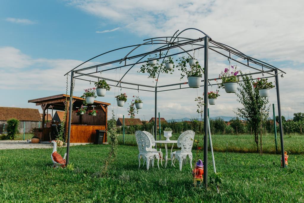 Casa Dan & Lili Otel Sura Mica Dış mekan fotoğraf